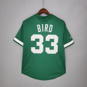 Camiseta Mitchellness Celtics Green N°. 33 Bird Retro Mesh