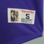 Camiseta Mitchellness Lakers Purple N°. 32 Johnson Retro