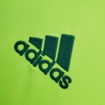 Camiseta alternativa Retro Palmeiras 2010/11