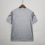 Camiseta calentamiento París Saint-Germain 202122