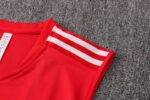 Conjunto entrenamiento sin mangas Arsenal 2021/22