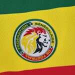 ESCUDO Camiseta de la Selección de Senegal Primera Equipación 2022 Versión Aficionado ESCUDO Camiseta de la Selección de Senegal Primera Equipación 2022 Versión Aficionado