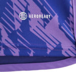 Camiseta alternativa de Argentina color violeta etiqueta