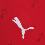 Primera equipacion Rennes Puma Primera equipacion Rennes Puma