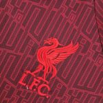 Camiseta Liverpool entrenamiento rojo 2022-2023 escudo Camiseta Liverpool entrenamiento rojo 2022-2023 escudo