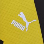 Camiseta Borussia Dortmund Pre-partido 2022-2023 logo Camiseta Borussia Dortmund Pre-partido 2022-2023 logo