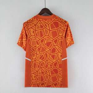 Camiseta Cruzeiro portero 2022-2023 naranja dorso