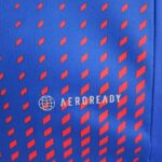 Camiseta Lyon segunda equipación 2022-2023 tecnología