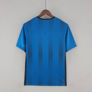 Camiseta Newcastle alternativa 2022-2023 dorso