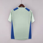 Camiseta Treino Palmeiras 2022-2023 verde claro dorso Camiseta Treino Palmeiras 2022-2023 verde claro dorso