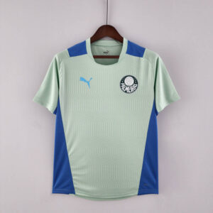 Camiseta Treino Palmeiras 2022-2023 verde claro frontal