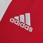 Camiseta Ajax primera equipación 2022-2023 logo Camiseta Ajax primera equipación 2022-2023 logo