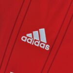 Camiseta SL Benfica primera equipación 2022-2023 logo Camiseta SL Benfica primera equipación 2022-2023 logo