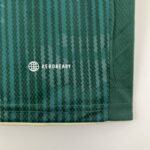 Camiseta Palmeiras 2024 logo aeroready