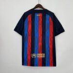 dorsal camiseta rosalia