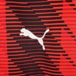 camiseta ac milán 2024 logo puma