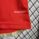 camiseta del benfica 2024 logo aeroready