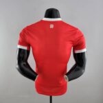 camiseta bayern munich 2023 dorsal