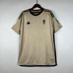 camiseta granada 2024