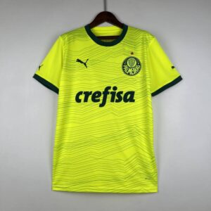 palmeiras camiseta