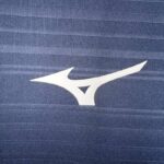segunda equipacion lazio logo