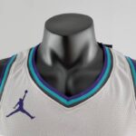 camiseta hornets gris cuello en V y logo jordan camiseta hornets gris cuello en V y logo jordan