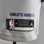 camiseta hornets gris etiqueta charlotte hornets camiseta hornets gris etiqueta charlotte hornets