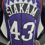 camiseta raptors morada sdiseño 2
