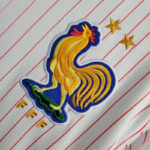 Camiseta Francia 2025 escudo Camiseta Francia 2025 escudo