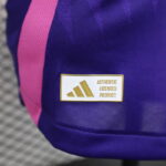 segunda equipacion alemania logo authentic