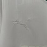 Camiseta palmeiras 2025 logo Camiseta palmeiras 2025 logo