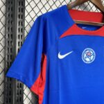 CAMISETA ESLOVAQUIA PRIMERA EQUIPACION 24 25 ONLINE CAMISETA ESLOVAQUIA PRIMERA EQUIPACION 24 25 ONLINE