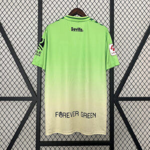CAMISETA REAL BETIS EDICION ESPECIAL FAN 24 25 DORSAL