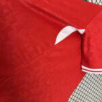 Camiseta Eurocopa Dinamarca 2024 primra equipación lateral