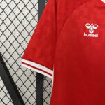 Camiseta Eurocopa Dinamarca 2024 primra equipación manga