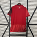 Camiseta Eurocopa Polonia 2024 segunda equipación dorsal