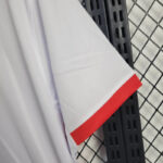 Camiseta Polonia Eurocopa primera equipación manga
