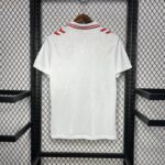 Camiseta eurocopa dinamarca 2024 segunda equipación dorsal