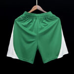 PANTALON CORTO PALMEIRAS PRIMERA EQUIPACIÓN 24 25 PARTE TRASERA