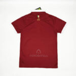 Camiseta Torino primera equipacion Version Fan Dorsal