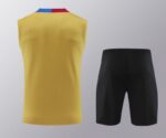 Conjunto de Entrenamiento Barcelona Amarillo Dorsal_2 Conjunto de Entrenamiento Barcelona Amarillo Dorsal_2
