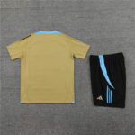 Conjunto de entrenamiento Argentina 2024-2025 Beige dorsal 1