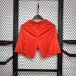 Pantalon corto bayern munich dorso 2024