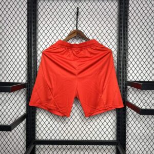 Pantalon corto bayern munich dorso 2024