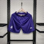 Pantalon-corto-edicion-especial-Real-Madrid-2024-2025