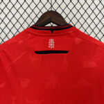 Camiseta-osasuna-primera-equipacion-2024-2025-dorsal-trasero Camiseta-osasuna-primera-equipacion-2024-2025-dorsal-trasero