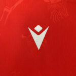 Camiseta-osasuna-primera-equipacion-2024-2025-logo