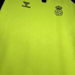 Camiseta-real-betis-segunda-equipacion-2024-2025-pecho