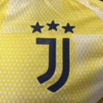 Camiseta-segunda-equipacion-juventus-version-jugador-2024-2025-escudo Camiseta-segunda-equipacion-juventus-version-jugador-2024-2025-escudo