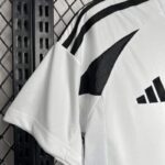 camiseta-albacete-primera-equipacion-2024-2025-puño-derecho